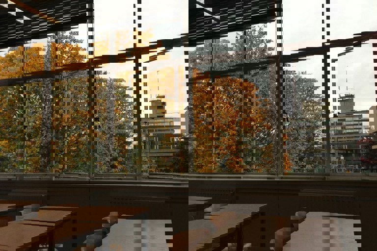 Zehua Chen Bp4uezk8ktw Unsplash