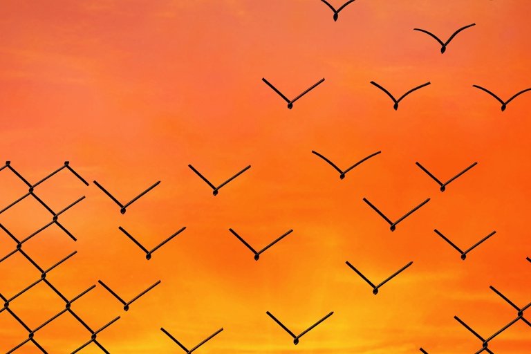 Hekwerk Wat In Vogels Verandert Regelluw