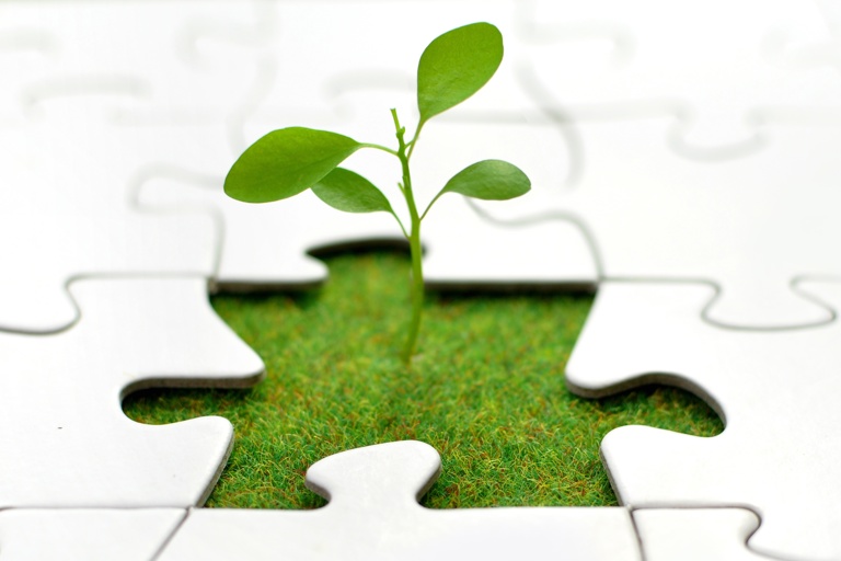 Plantje Tussen Puzzelstukjes