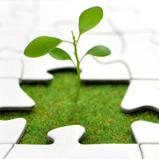 Plantje Tussen Puzzelstukjes